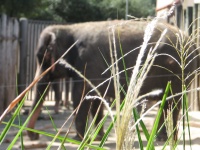 20100206 493.JPG